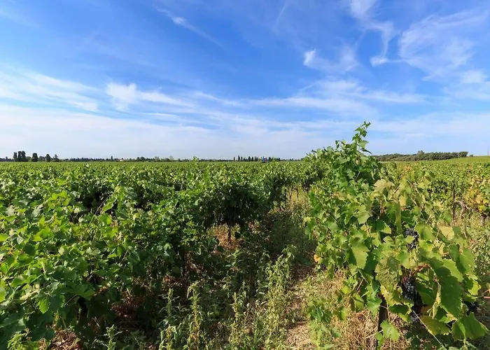 Les Gites De Grand Pere Jules