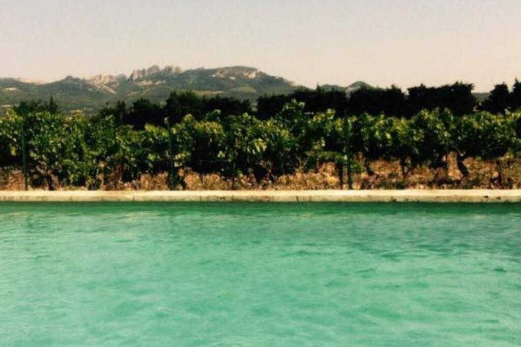 Apartment Les Gites De Grand Pere Jules *