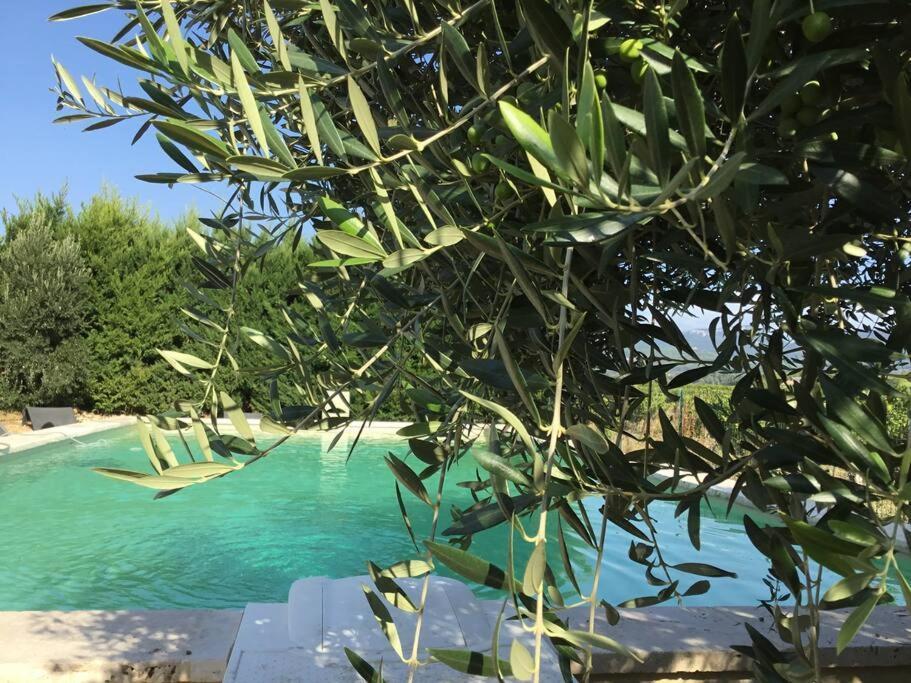 Apartment Les Gites De Grand Pere Jules *